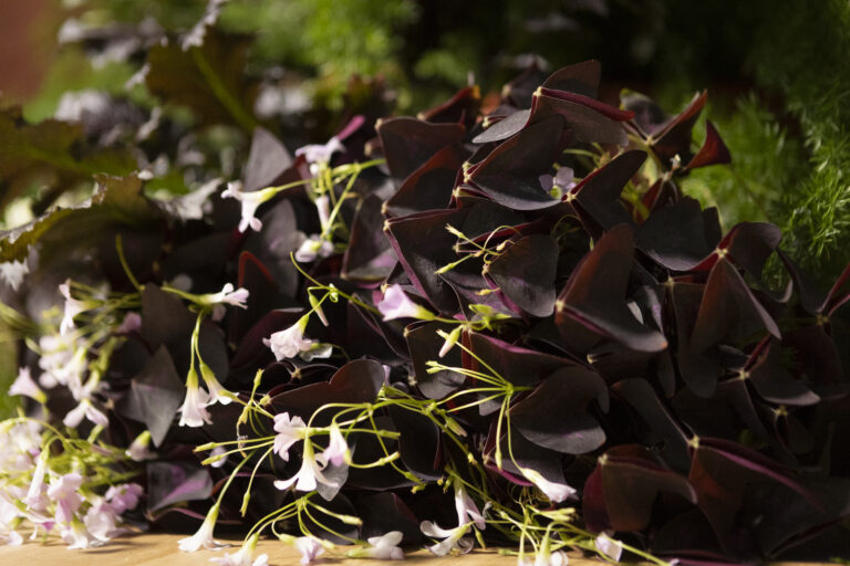 Tablescapes: Ireland by Madison Nichole Weddings & Events