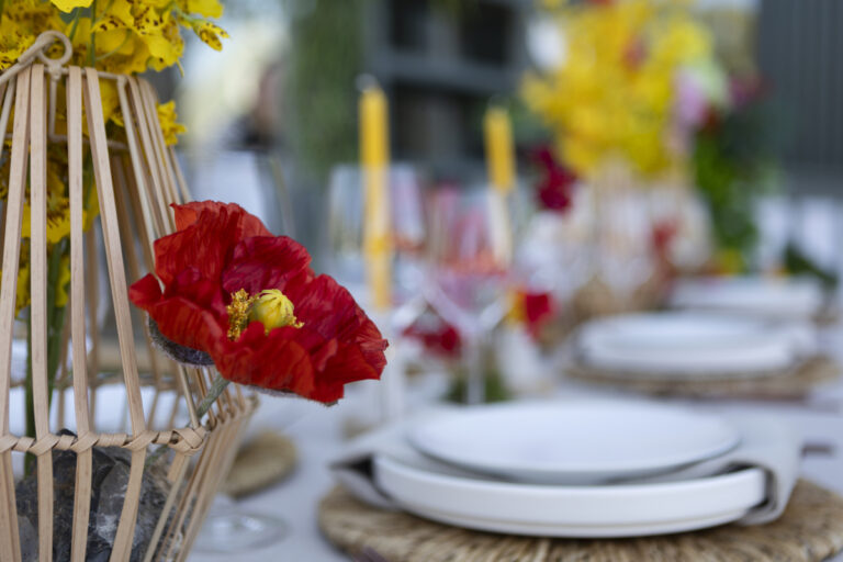 Tablescapes: Mexico by Party Pro Rents